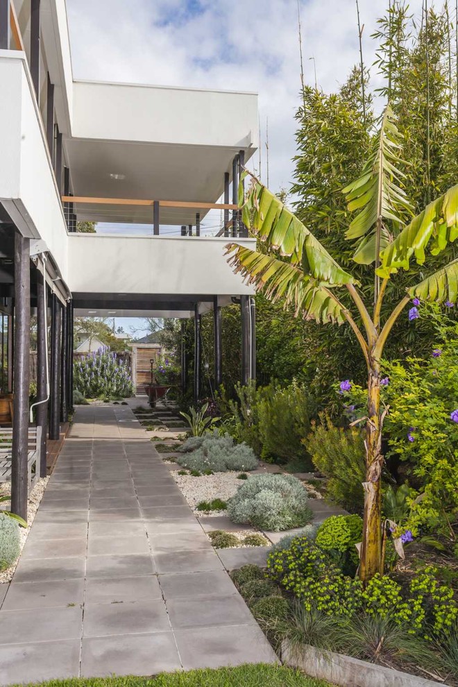 Ispirazione per un piccolo giardino minimalista esposto in pieno sole nel cortile laterale in primavera con pavimentazioni in pietra naturale e un ingresso o sentiero