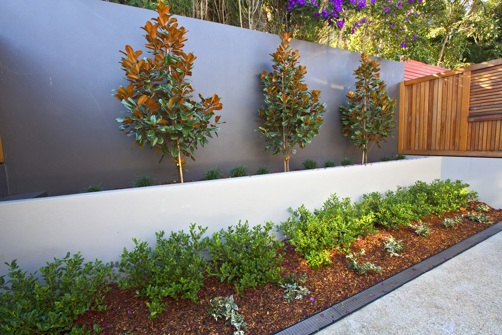 Inspiration for a small partial sun backyard concrete paver formal garden in Sydney for summer.
