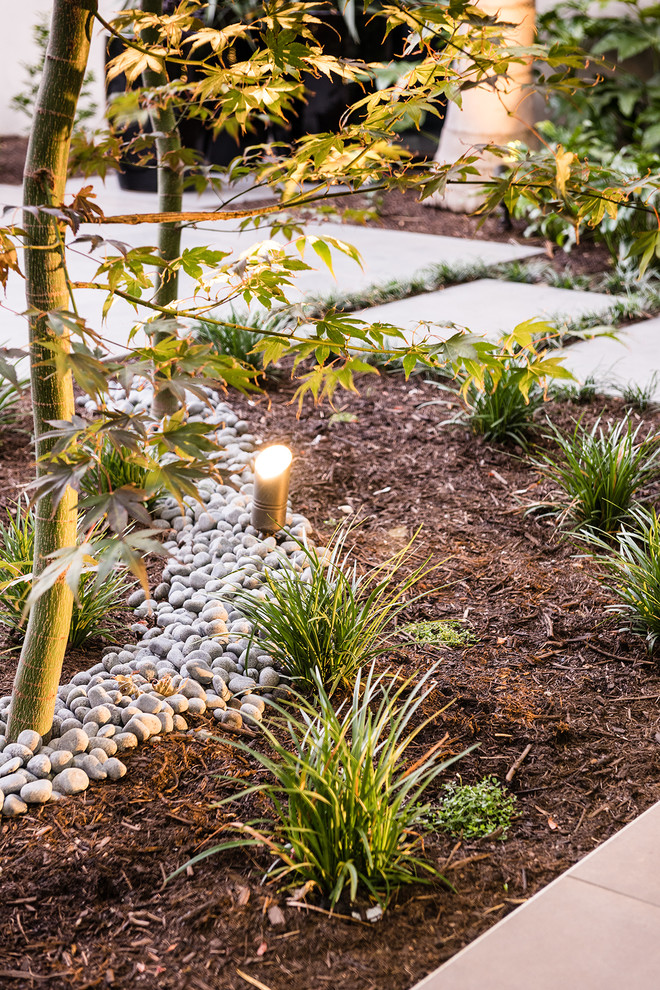 Imagen de camino de jardín de estilo zen de tamaño medio en patio lateral con exposición parcial al sol y mantillo