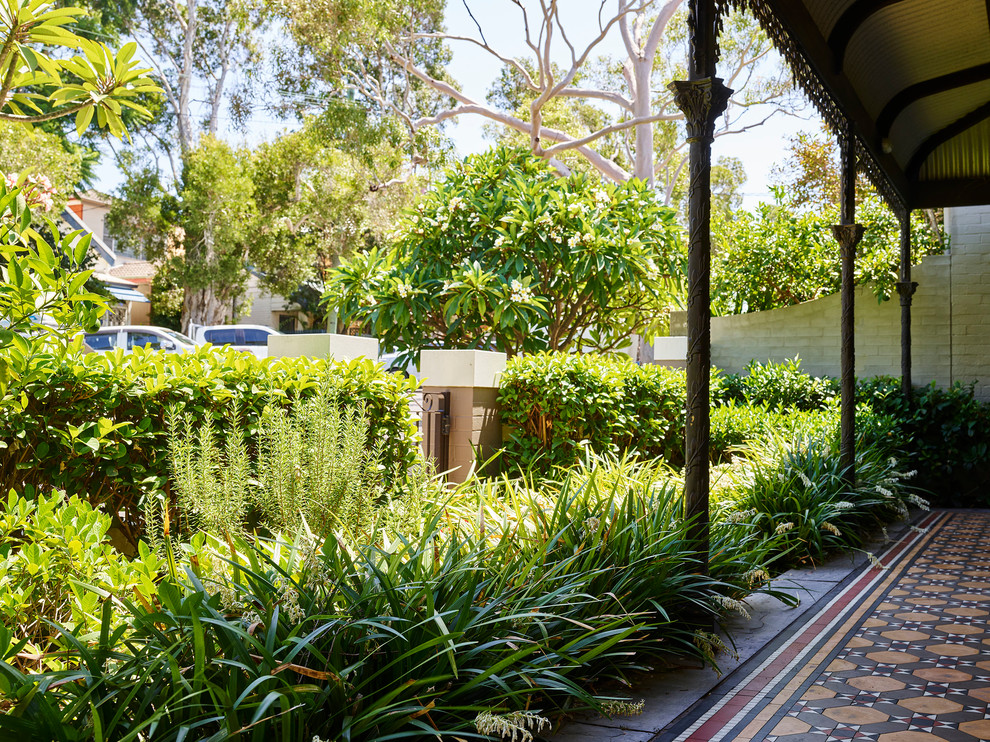 Photo of a mid-sized contemporary backyard formal garden in Sydney.