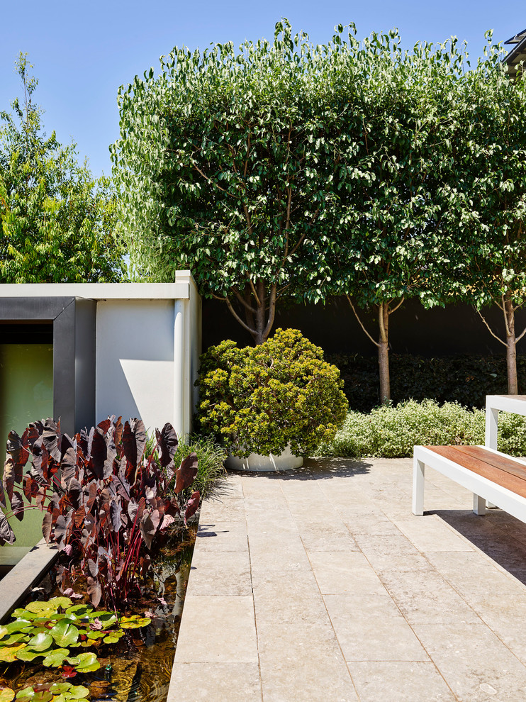 На фото: регулярный сад среднего размера на заднем дворе в современном стиле