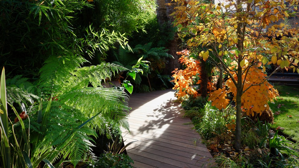 Ispirazione per un grande giardino tropicale dietro casa con pedane