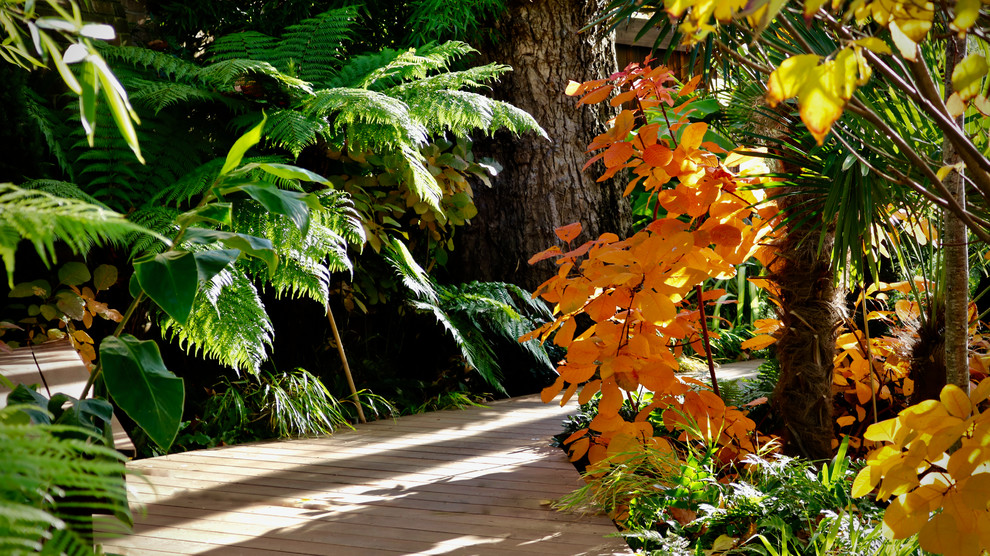 Modelo de jardín tropical grande en patio trasero con entablado