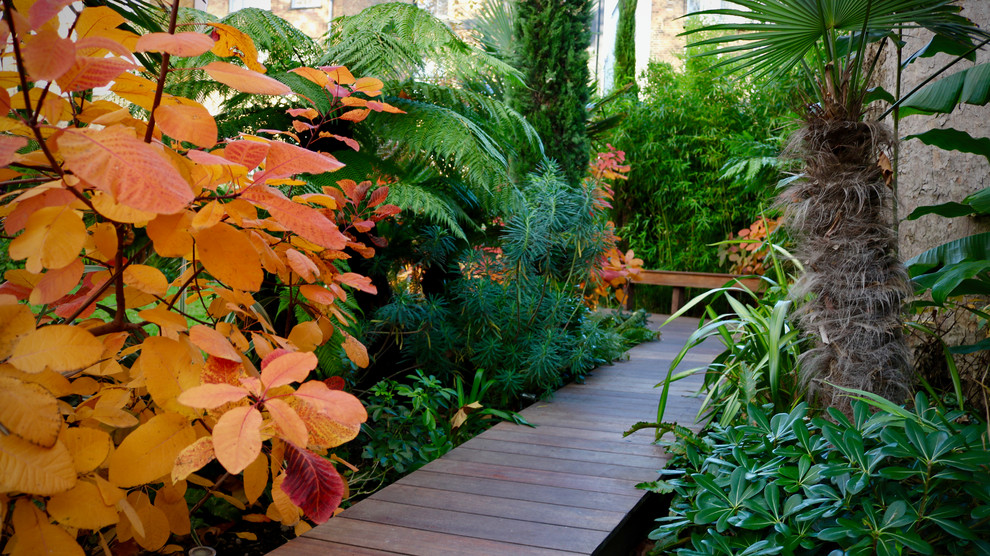 Idee per un grande giardino tropicale dietro casa con pedane