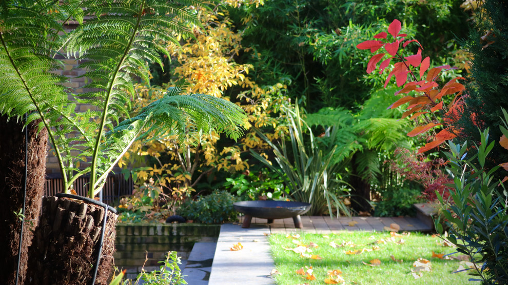 Foto di un grande giardino tropicale dietro casa con pedane