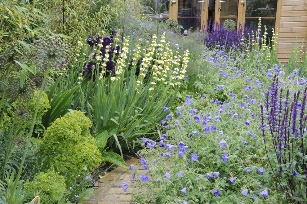 Design ideas for a contemporary garden in London.