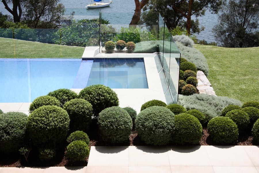 Inspiration for a modern landscaping in Sydney.
