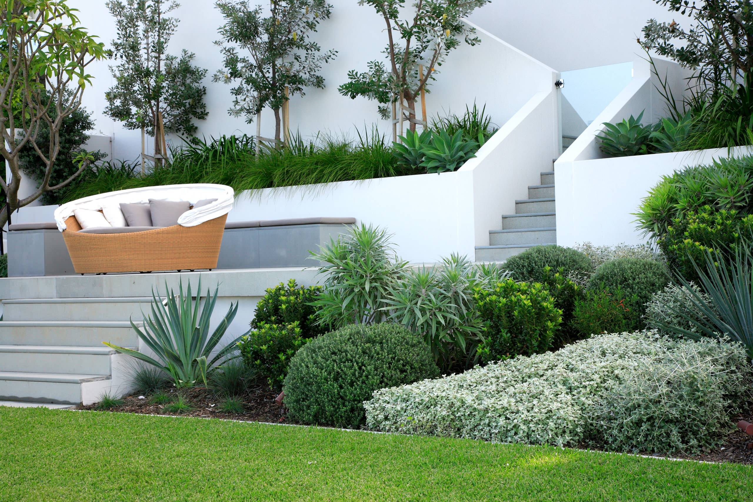 Small Front Garden Ideas Australia Fasci Garden