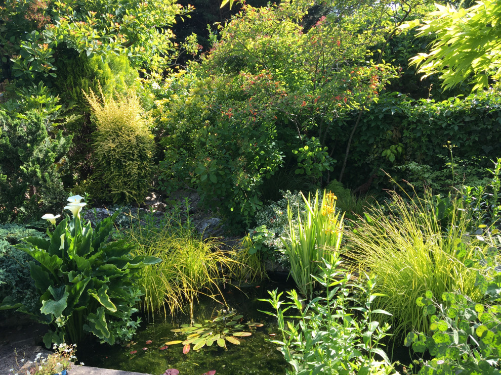 Cette image montre un petit jardin arrière chalet l'été avec une cascade, une exposition partiellement ombragée et des pavés en pierre naturelle.