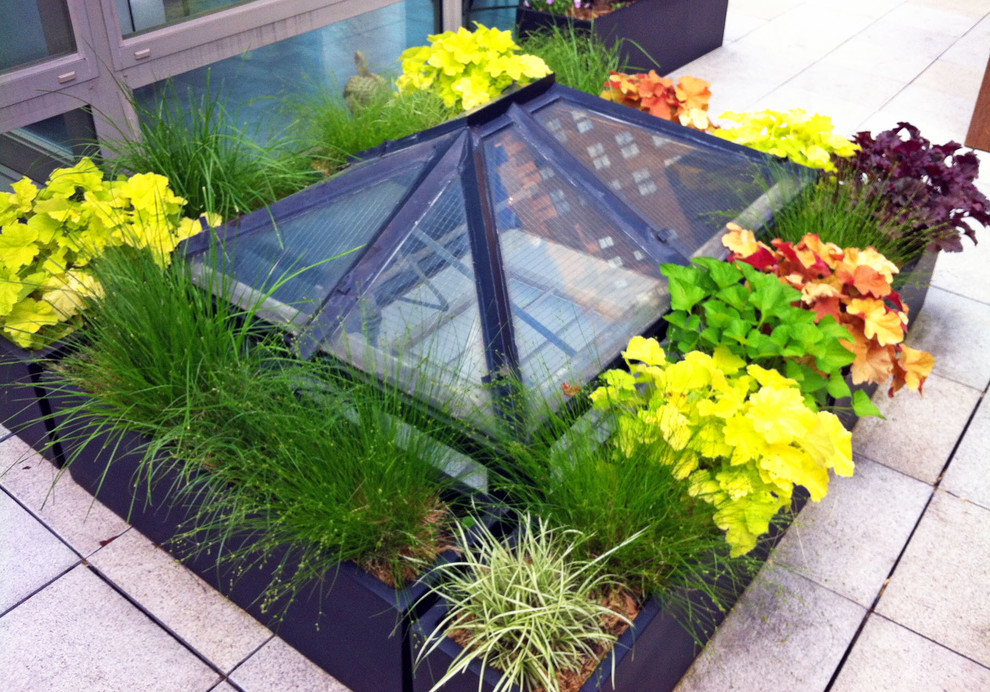 Photo of a contemporary full sun rooftop landscaping in New York for summer.