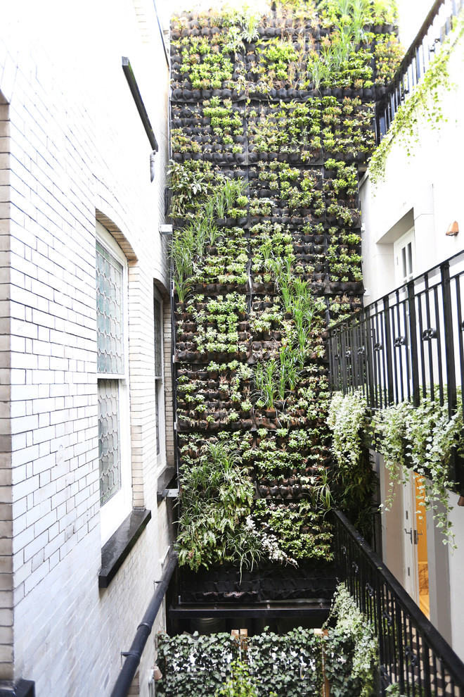This is an example of a contemporary courtyard garden wall in London with a living wall.
