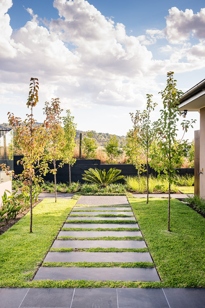 Diseño de camino de jardín contemporáneo en otoño en patio trasero con adoquines de piedra natural