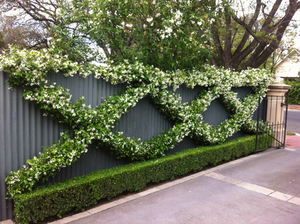 Malvern Front Garden Back Garden Verge Garden Jardin Adélaïde