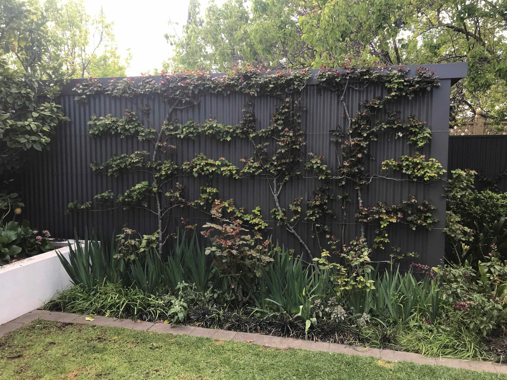 Foto di un giardino formale minimal esposto in pieno sole di medie dimensioni e dietro casa in primavera con pavimentazioni in cemento