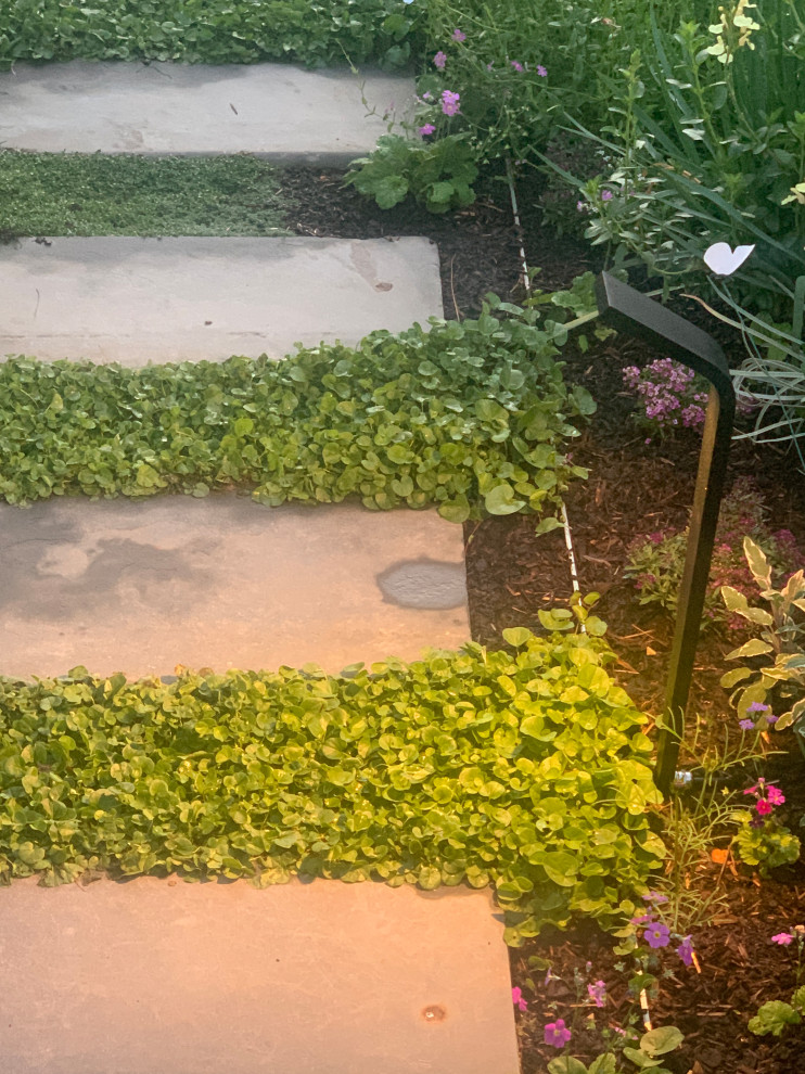 Foto di un giardino minimalista esposto in pieno sole di medie dimensioni e davanti casa in primavera con un ingresso o sentiero, pavimentazioni in pietra naturale e recinzione in legno