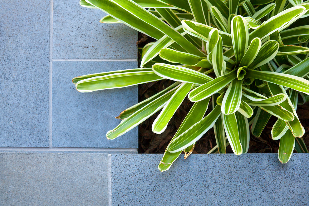 Ispirazione per un giardino tropicale davanti casa con pavimentazioni in pietra naturale