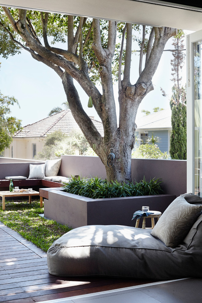 Design ideas for a mid-sized coastal partial sun front yard retaining wall landscape in Sydney with decking for spring.