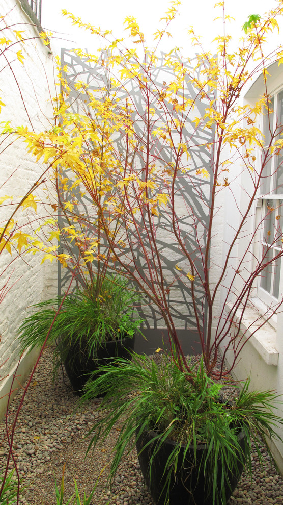 Immagine di un piccolo giardino design in ombra nel cortile laterale in autunno con un giardino in vaso e ghiaia