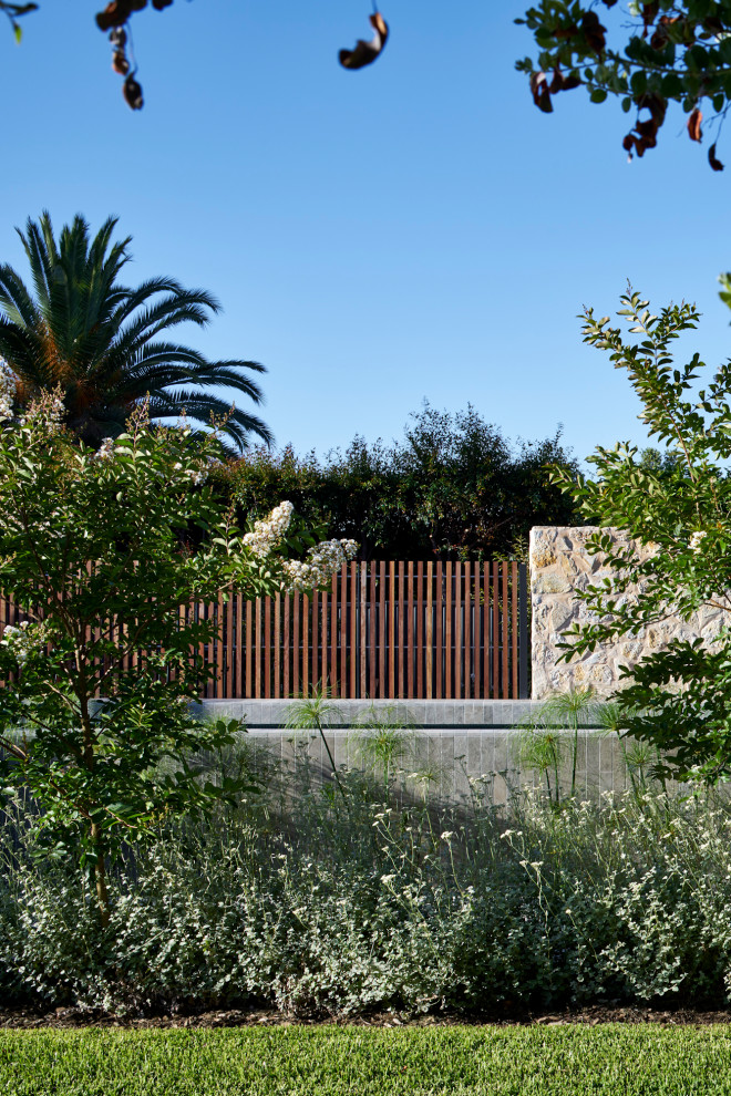 Design ideas for a contemporary landscaping in Adelaide.