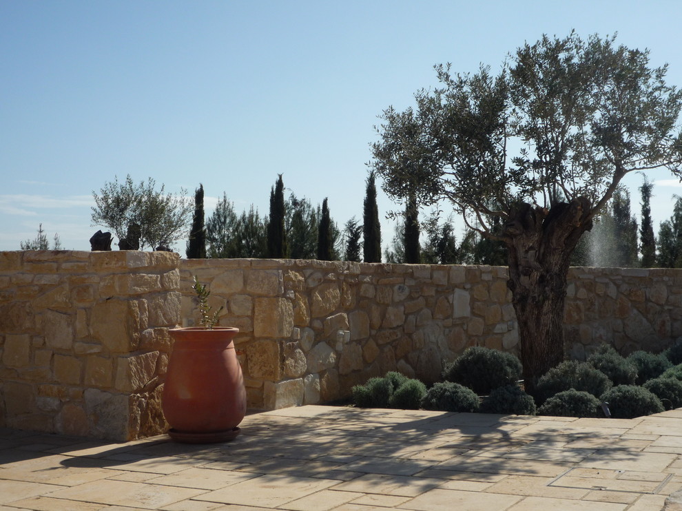 Foto di un grande giardino mediterraneo esposto in pieno sole dietro casa in estate