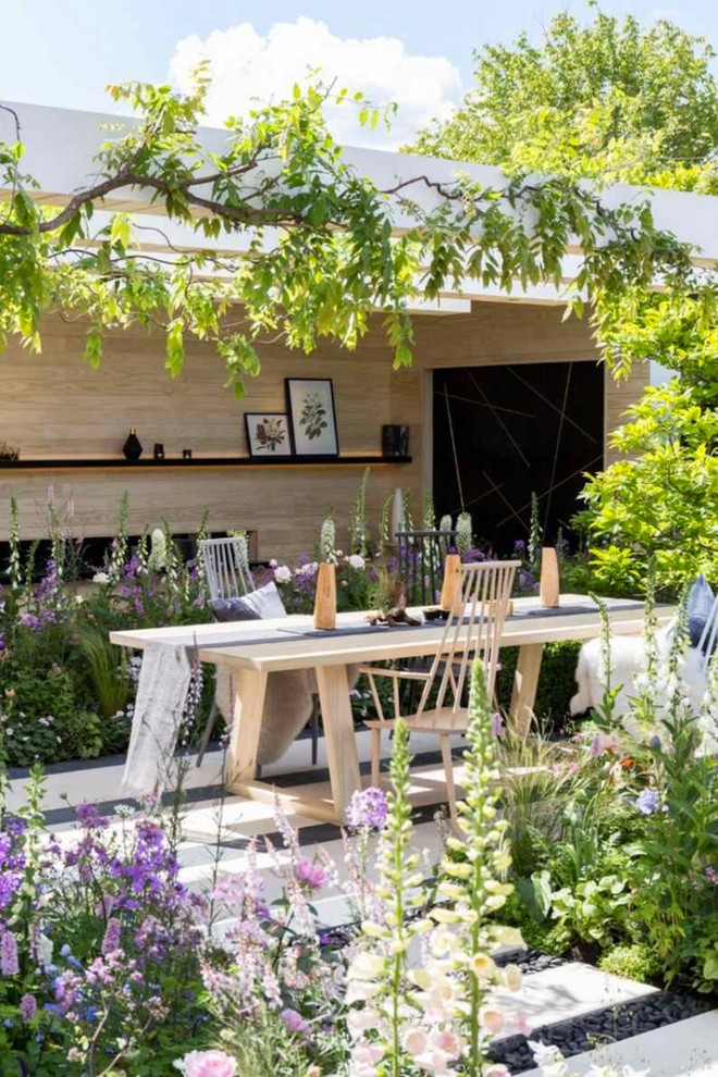 Geometrische, Mittelgroße, Halbschattige Mediterrane Pflanzenwand im Sommer, hinter dem Haus mit Betonboden in London