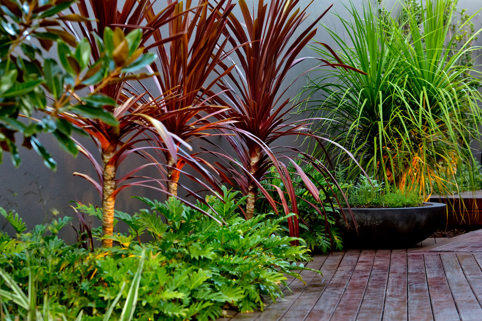 Photo of a small contemporary full sun courtyard water fountain landscape in Perth with decking.