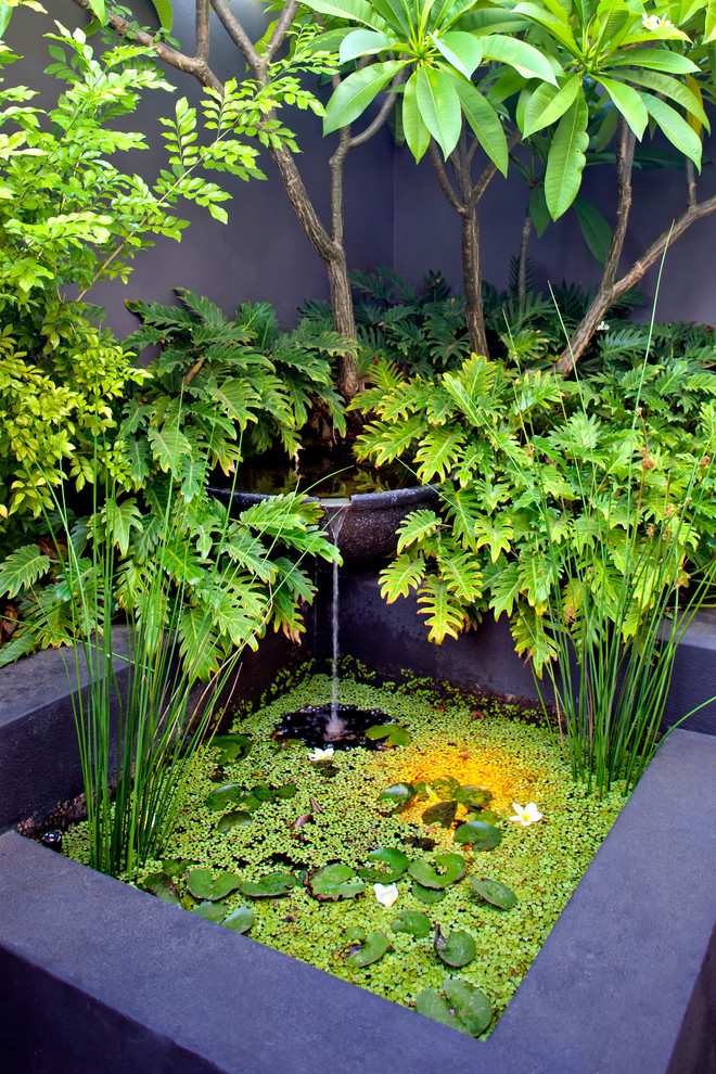 Пример оригинального дизайна: маленький солнечный садовый фонтан на внутреннем дворе в современном стиле с хорошей освещенностью и настилом для на участке и в саду