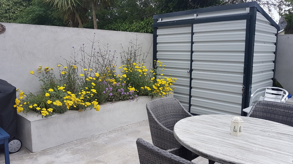 Inspiration for a small contemporary back full sun garden in Dublin with a retaining wall and concrete paving.