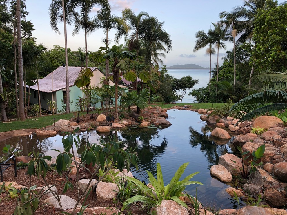 Immagine di un giardino tropicale di medie dimensioni