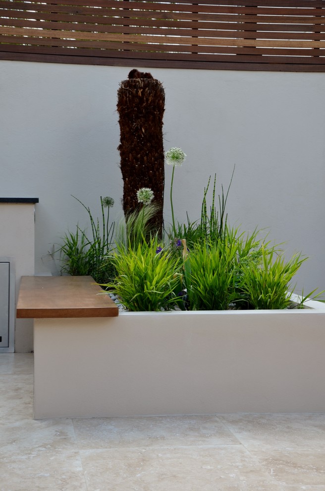 Design ideas for a small contemporary back garden for summer in London.