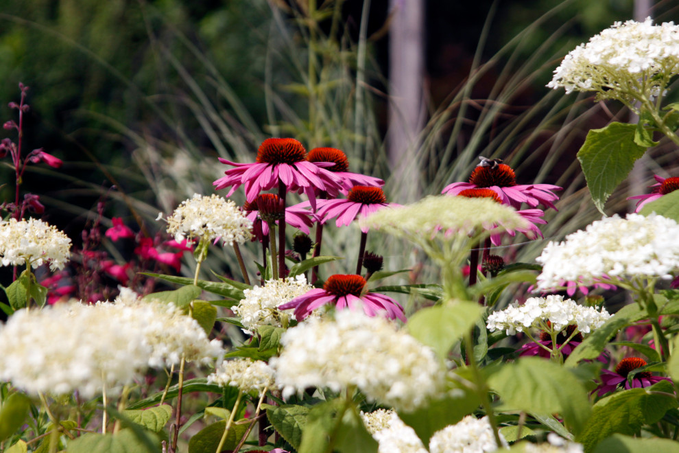 Idéer för en mellanstor rustik trädgård i full sol blomsterrabatt på sommaren, med naturstensplattor