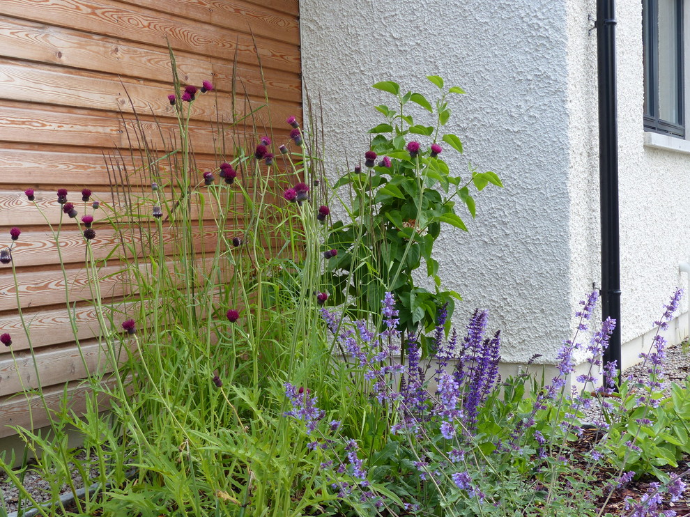 Diseño de jardín contemporáneo de tamaño medio en verano en patio delantero con exposición parcial al sol y adoquines de hormigón