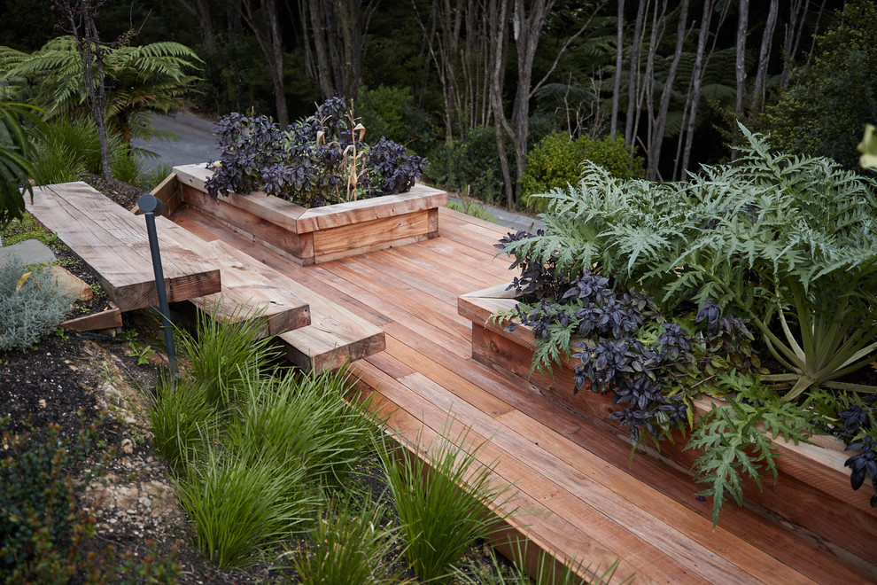 Inspiration for a garden in Auckland.