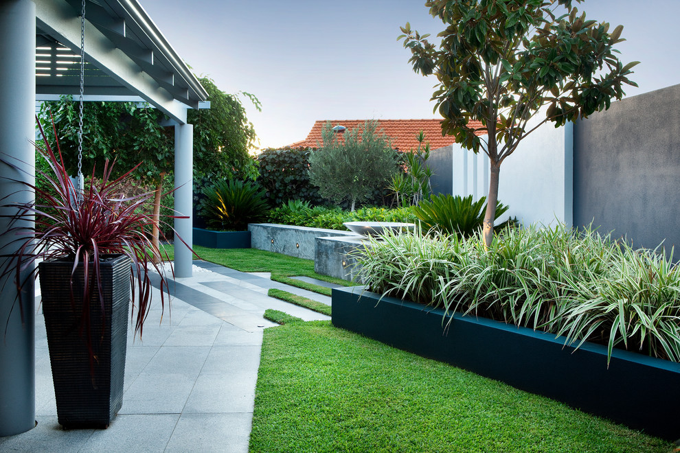 Montis garden - Contemporary - Landscape - Perth - by Cultivart ...