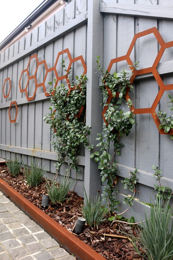 Inspiration for a medium sized modern front formal full sun garden for spring in Melbourne with a living wall and mulch.