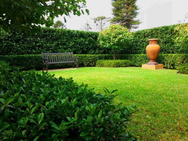 Immagine di un giardino classico dietro casa