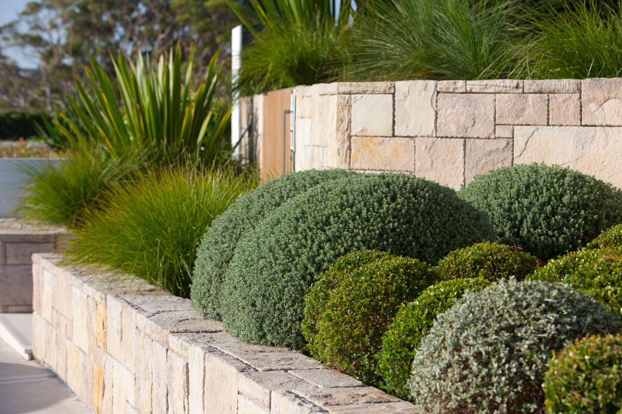 This is an example of a modern landscaping in Sydney.