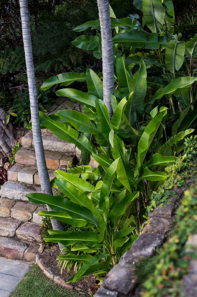 Foto di un giardino tropicale esposto a mezz'ombra di medie dimensioni e dietro casa in estate con un ingresso o sentiero e pavimentazioni in pietra naturale