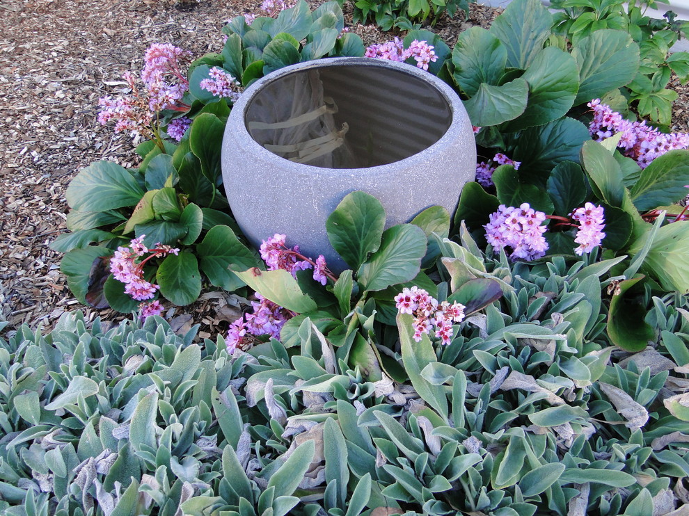 Foto di un piccolo giardino design in ombra nel cortile laterale in primavera con fontane e pavimentazioni in pietra naturale