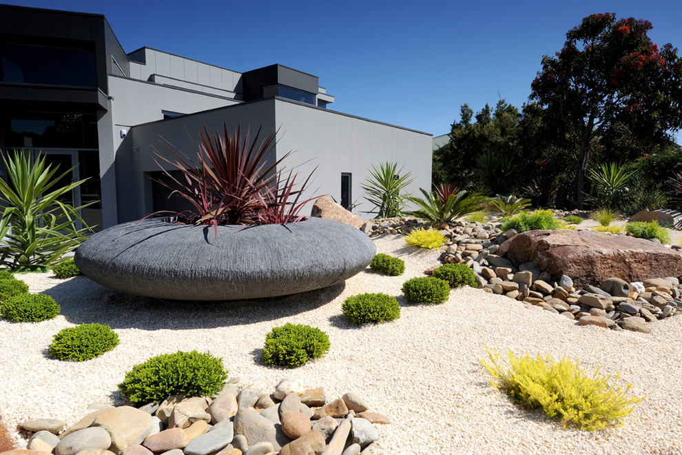 Immagine di un giardino moderno esposto in pieno sole con un giardino in vaso