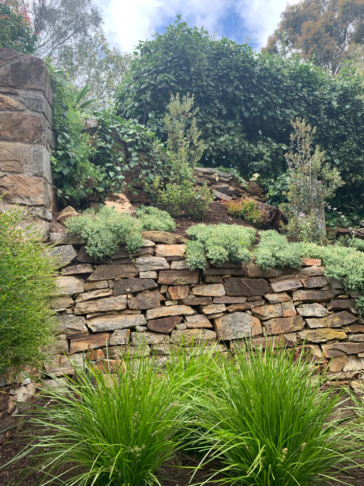Стильный дизайн: большой солнечный, летний засухоустойчивый сад на склоне в стиле модернизм с камнем в ландшафтном дизайне, хорошей освещенностью и покрытием из каменной брусчатки - последний тренд
