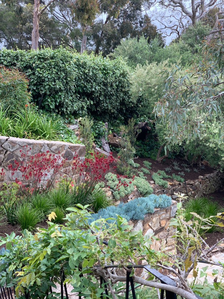 Design ideas for a large modern drought-tolerant, rock and full sun hillside stone landscaping in Adelaide for summer.