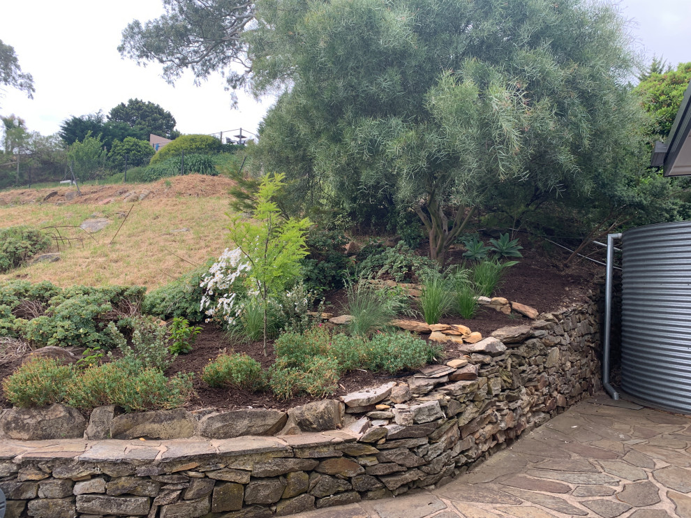 This is an example of a large modern sloped xeriscape full sun garden for summer in Adelaide with a rockery and natural stone paving.