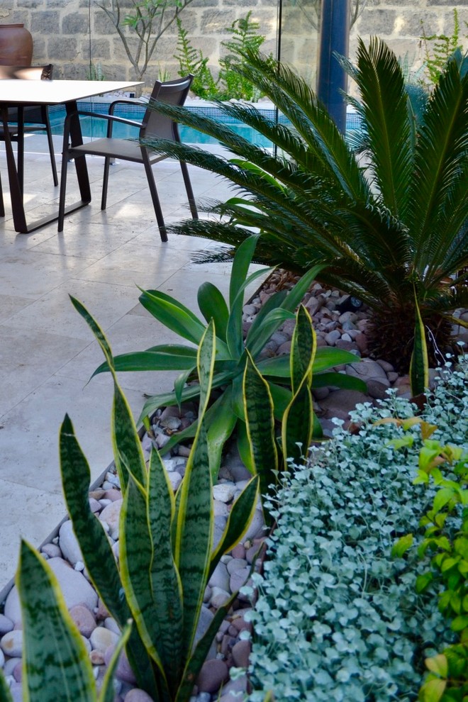 На фото: маленький летний засухоустойчивый сад на заднем дворе в современном стиле с полуденной тенью, покрытием из каменной брусчатки и высокими грядками для на участке и в саду