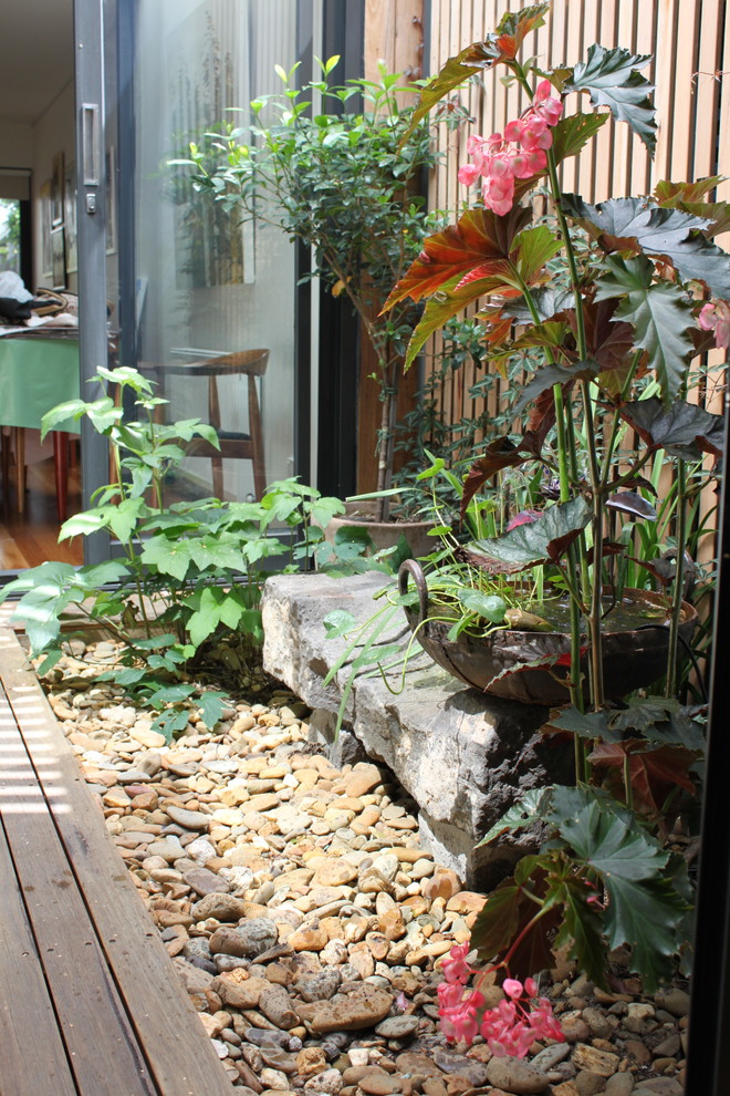 Cette image montre un petit jardin arrière chalet.