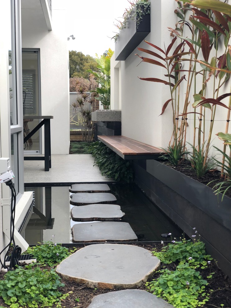 Свежая идея для дизайна: маленький засухоустойчивый сад на заднем дворе в современном стиле с растениями в контейнерах и полуденной тенью для на участке и в саду - отличное фото интерьера