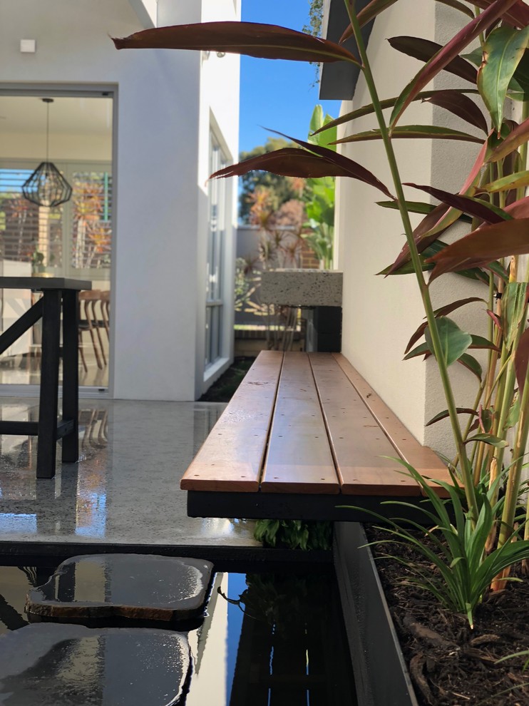 Kleiner, Halbschattiger Moderner Garten hinter dem Haus mit Kübelpflanzen in Perth
