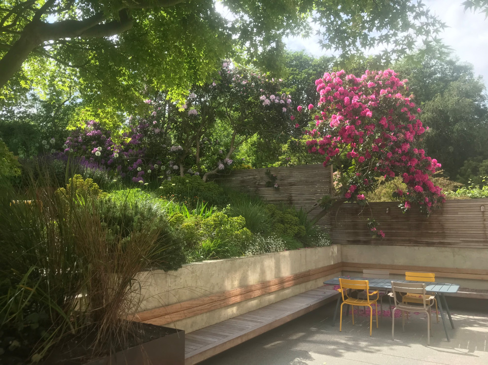 Свежая идея для дизайна: большой регулярный сад на заднем дворе в современном стиле с садовой дорожкой или калиткой - отличное фото интерьера