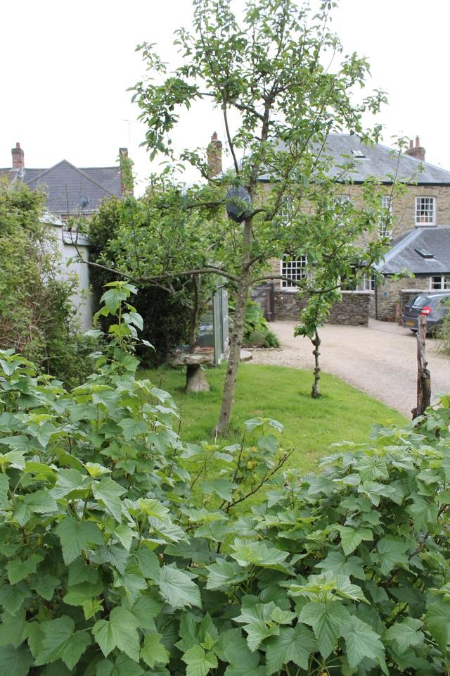 Photo of a farmhouse back garden in Cornwall.