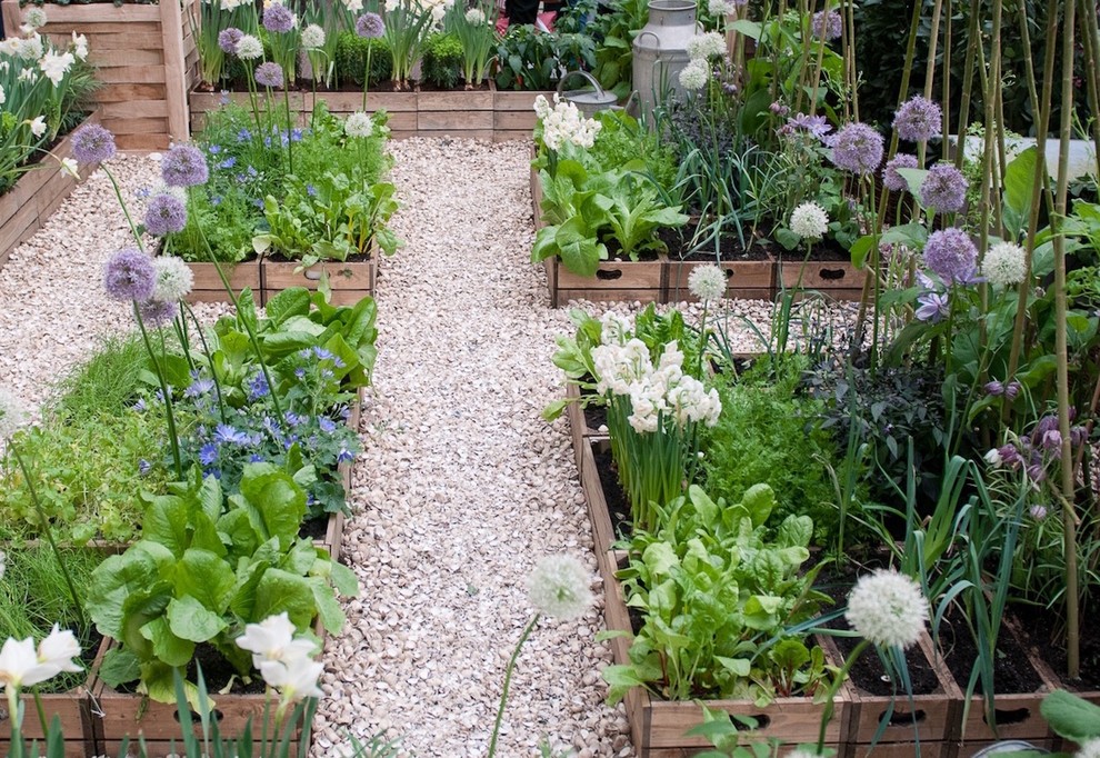 Geometrischer, Kleiner Klassischer Garten im Sommer, hinter dem Haus mit Kübelpflanzen und direkter Sonneneinstrahlung in London